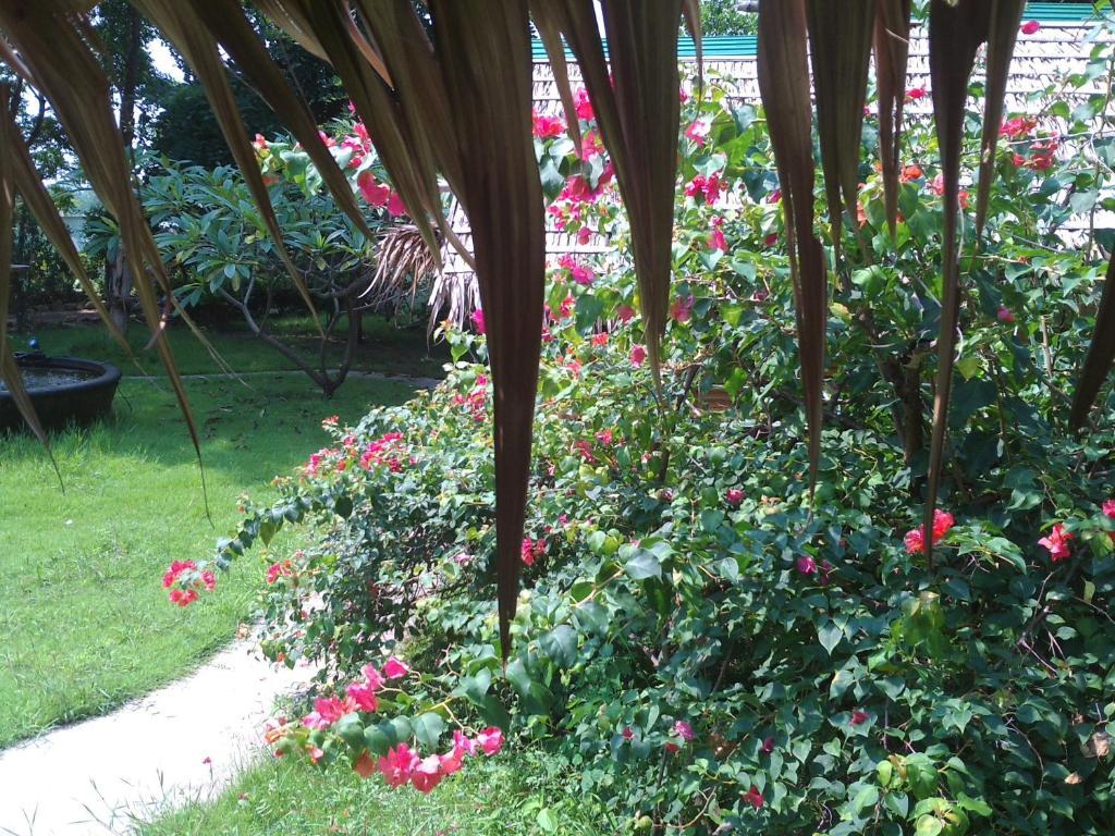 Ban Sabai Sabai Guest House Kanchanaburi City Exteriör bild